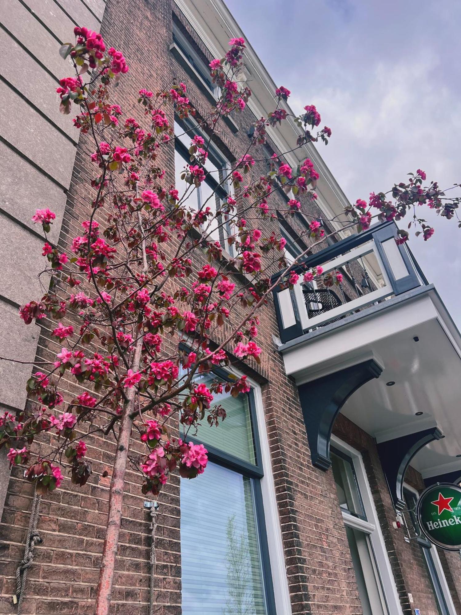 Hotel Loskade 45 Middelburg Dış mekan fotoğraf